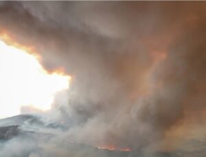 ÇANAKKALE GELİBOLU’DA YANGIN: 6 KÖY TAHLİYE EDİLDİ, EKİPLER MÜCADELEDE!