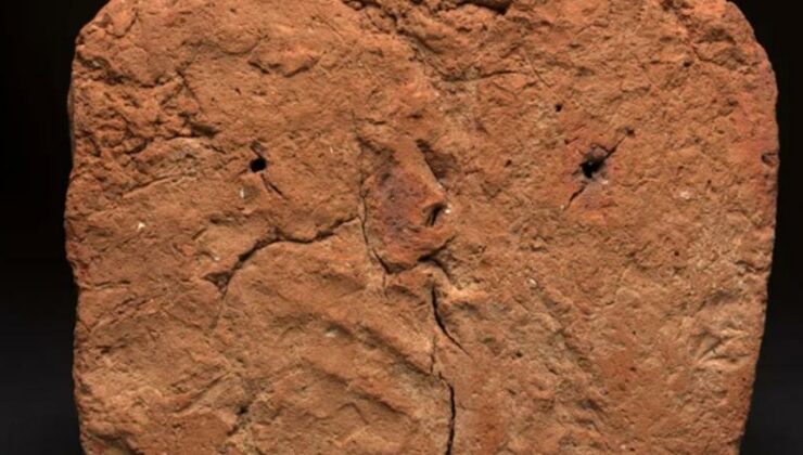 Antik Mısır mezarında 4 bin yıllık el izi bulundu