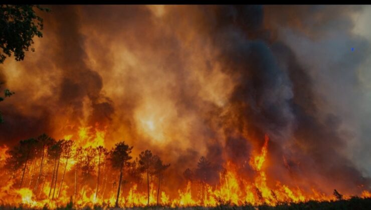 3 İL BİR ANDA ALEV ALEV! MÜTHİŞ MÜCADELE SÜRÜYOR!