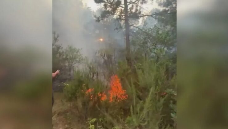 SEVGİLİSİNE KIZDI ORMAN YAKTI!